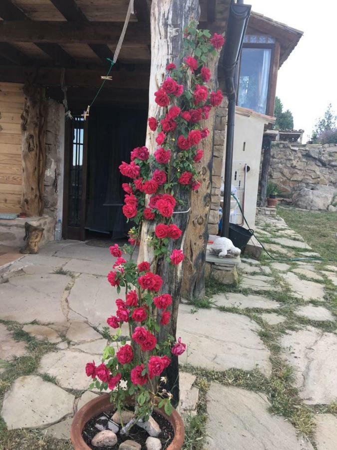 Monolocal Rural Con Encanto Valbona Екстер'єр фото
